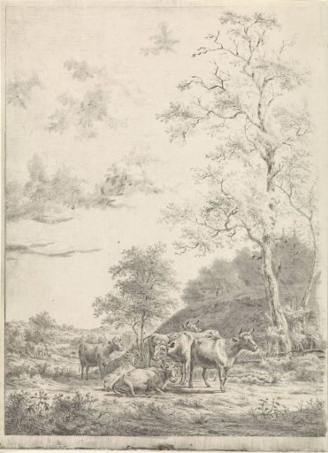 Forest landscape with six cows