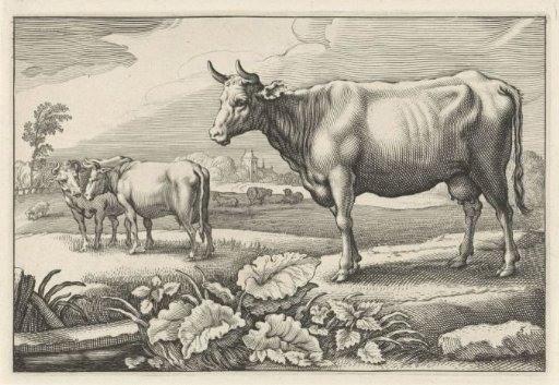 Meadow with Cows