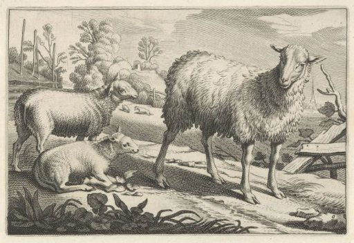 Meadow with a Sheep and Two Lambs