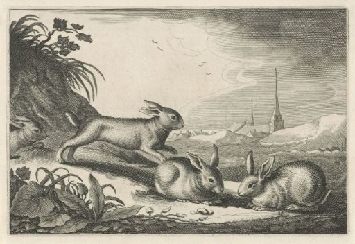 Dune Landscape with Rabbits