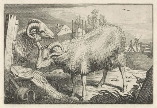 Meadow with a Sheep and a Ram