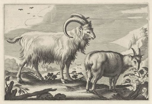 Hilly Landscape with Two Goats