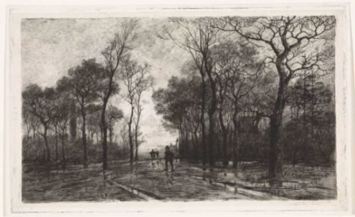 Three People on a Road with Trees on Both Sides