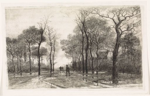 Three People on a Road with Trees on Both Sides