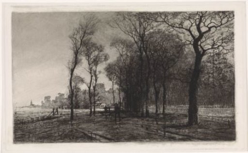 Three People on a Road with Trees on Both Sides