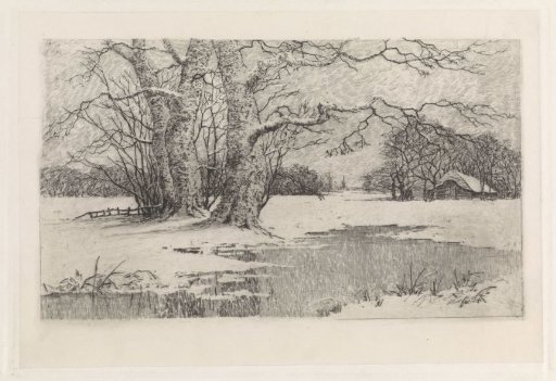 Snowy landscape