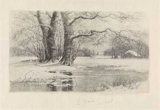 Snowy landscape