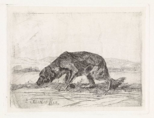 Dog sniffing