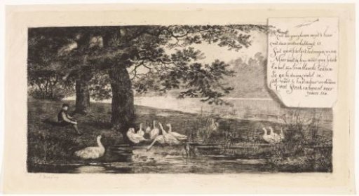 Geese by the water