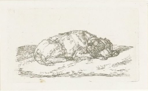Sleeping dog with head resting on forepaws