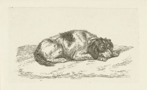 Sleeping dog with head resting on forepaws
