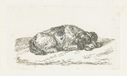 Sleeping dog with head resting on forepaws