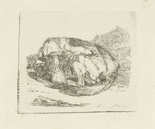 Sleeping dog