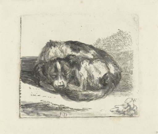 Sleeping dog