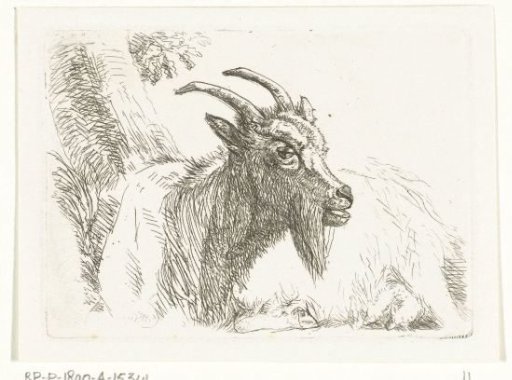 Reclining goat