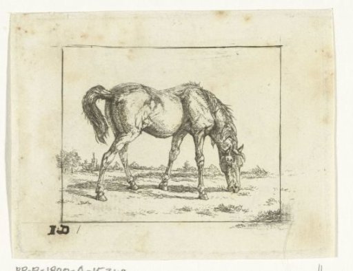 Grazing horse to the right