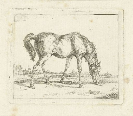 Grazing horse to the right