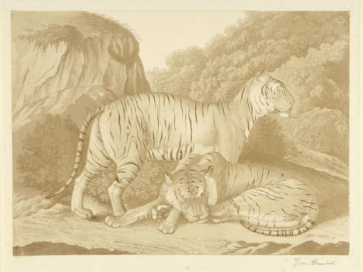 Two tigers in a landscape