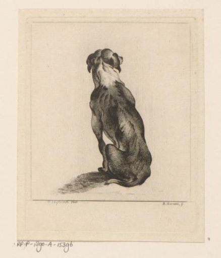 Sitting dog seen from behind