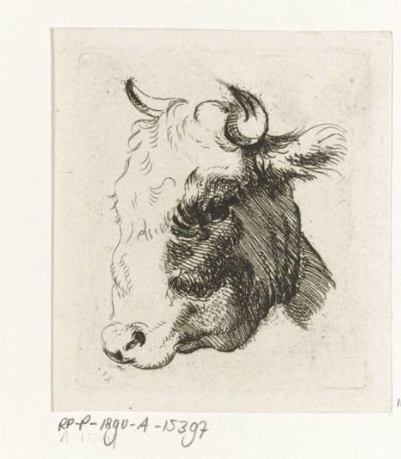 Study sheet with a cow's head