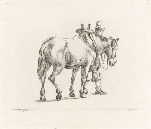 Man walking beside a horse