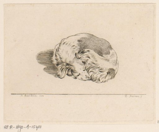 Sleeping puppy