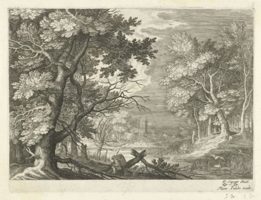 Wooded Landscape