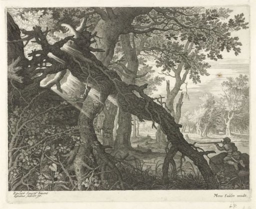 Rabbit hunt in a woodland landscape