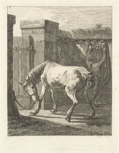 Unsaddled horse with the bridle tied to a post