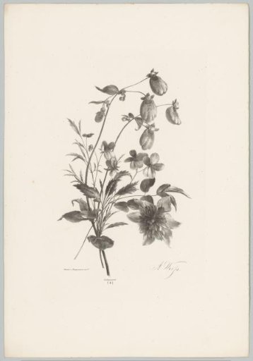 Various flowers