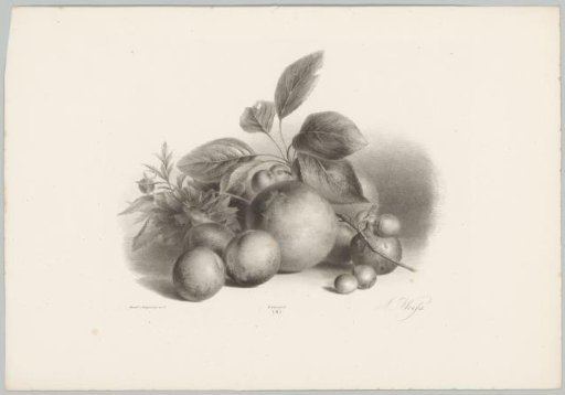 Flowers, nectarines, and hazelnuts