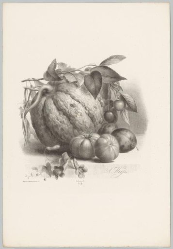 Pumpkin, tomatoes, and cherries