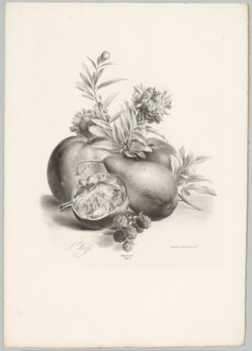 Flowers, apples, pear, pomegranate, and blackberries
