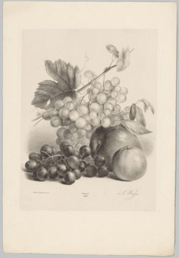 Red and white grapes and apples