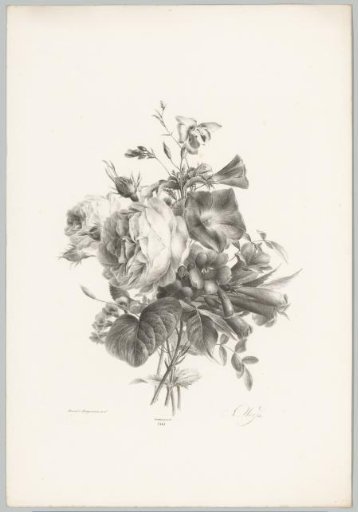Roses and cup-shaped flowers