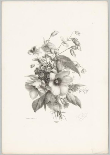 Various flowers
