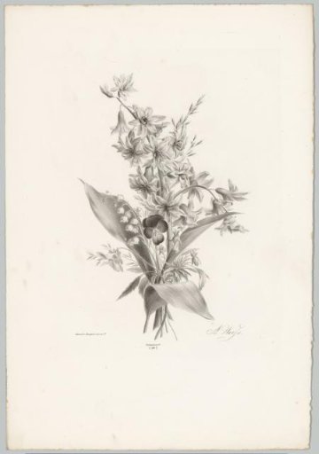 Violet, hyacinth, and bell-shaped flowers