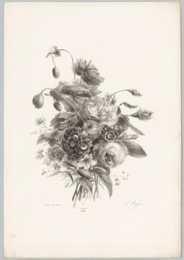 Roses and other flowers