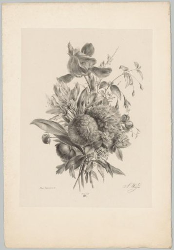Carnations and lilies