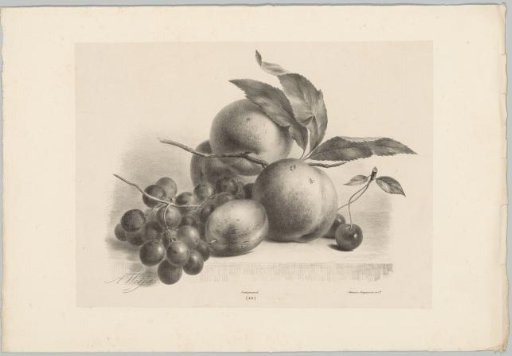 Grapes, plum, peaches, and cherries