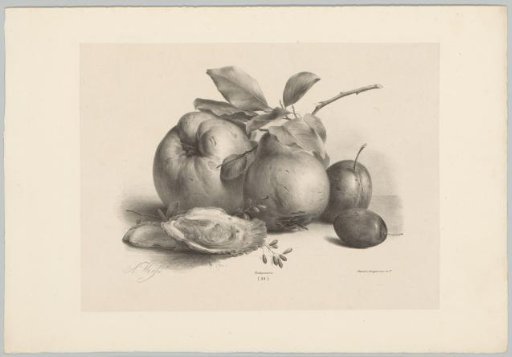 Fruit, plums, and oysters