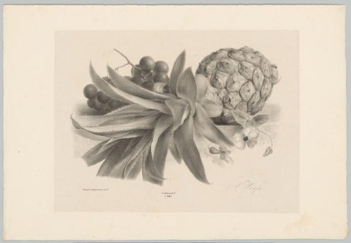 Pineapple and grapes