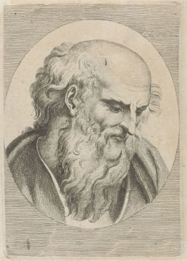 Head of an Old Man