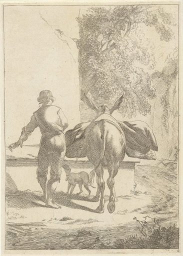 Donkey at a water trough