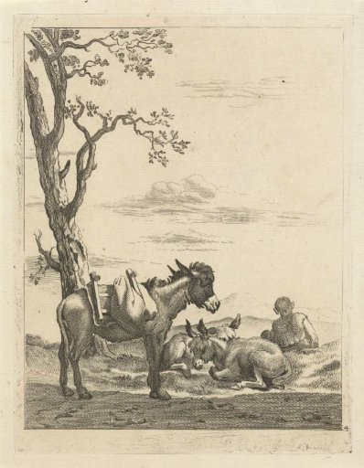 Resting shepherd beside three donkeys
