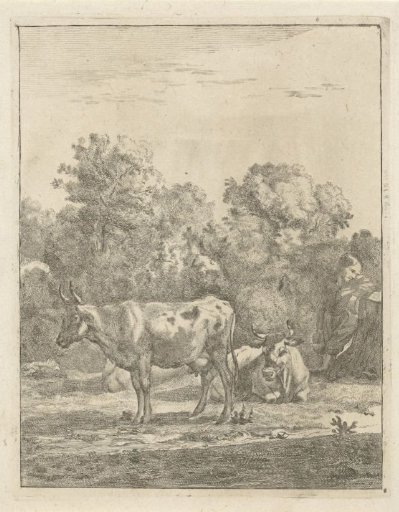 Boy and two cows