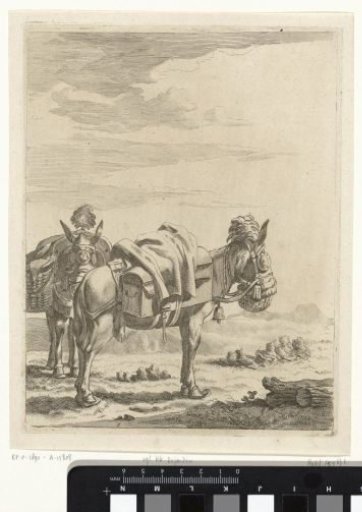 Two laden donkeys in a landscape