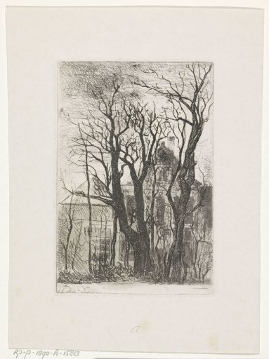 Group of trees in front of two houses