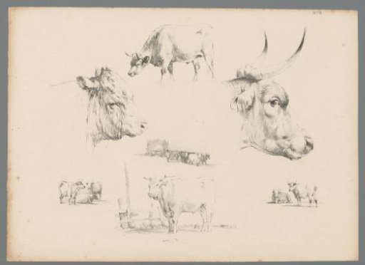 Seven representations of cattle