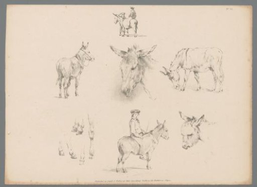 Various representations of donkeys
